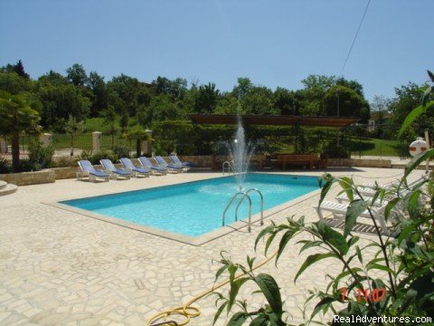 Pool | Croatian Villas with Pools | Porec, Croatia | Vacation Rentals | Image #1/2 | 