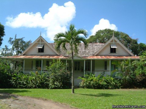 Caribbean Plantation Guesthouse | Image #12/12 | 