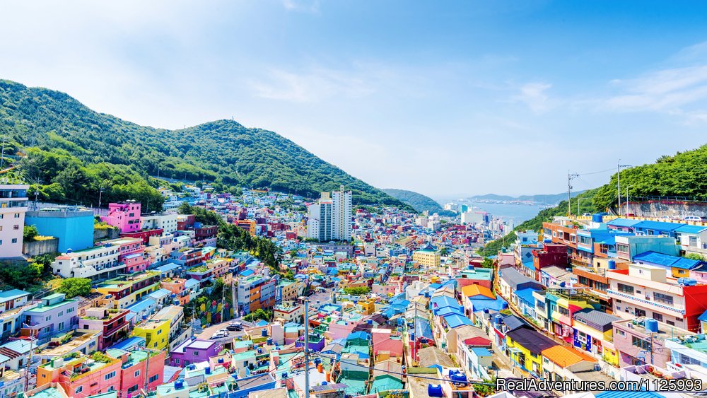 The colors of Korean cities | English Teaching Jobs in South Korea | Image #4/7 | 