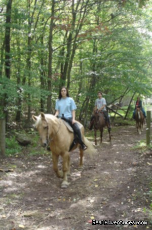 Photo #1 - Scenic Guided Trail Rides Through The Pocono Woods - poconos pennsylvania horseback riding white haven