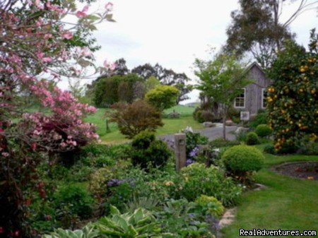 The garden at Kamahi Cottage in springtime | Romantic NZ country cottage: 5-Star B&B  Waitomo | Image #12/15 | 