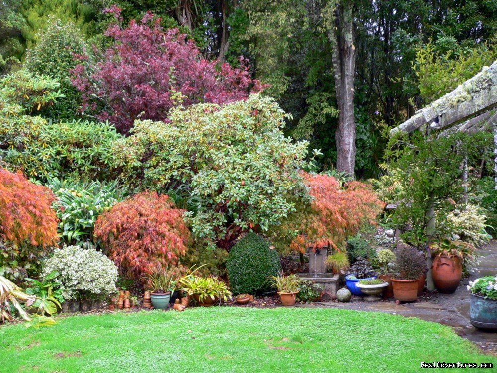 The garden in autumn at Kamahi | Romantic NZ country cottage: 5-Star B&B  Waitomo | Image #14/15 | 
