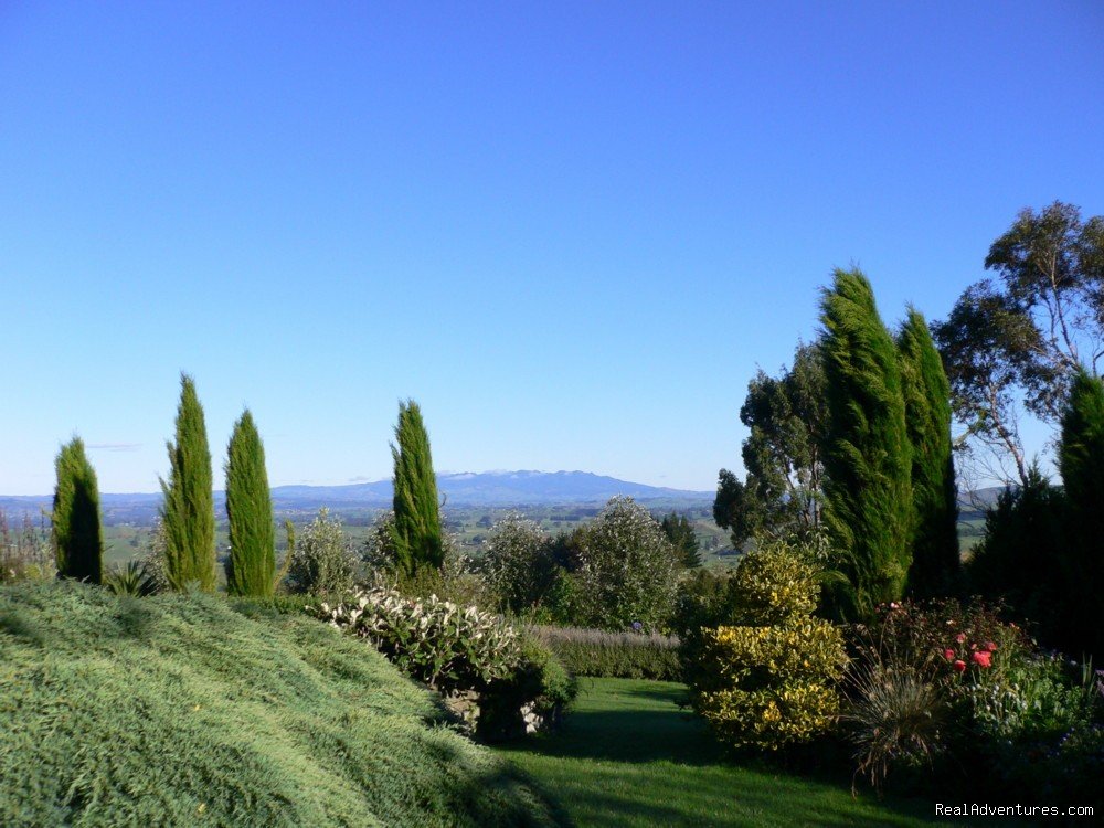 Panoramic hilltop views through the garden | Romantic NZ country cottage: 5-Star B&B  Waitomo | Image #11/15 | 