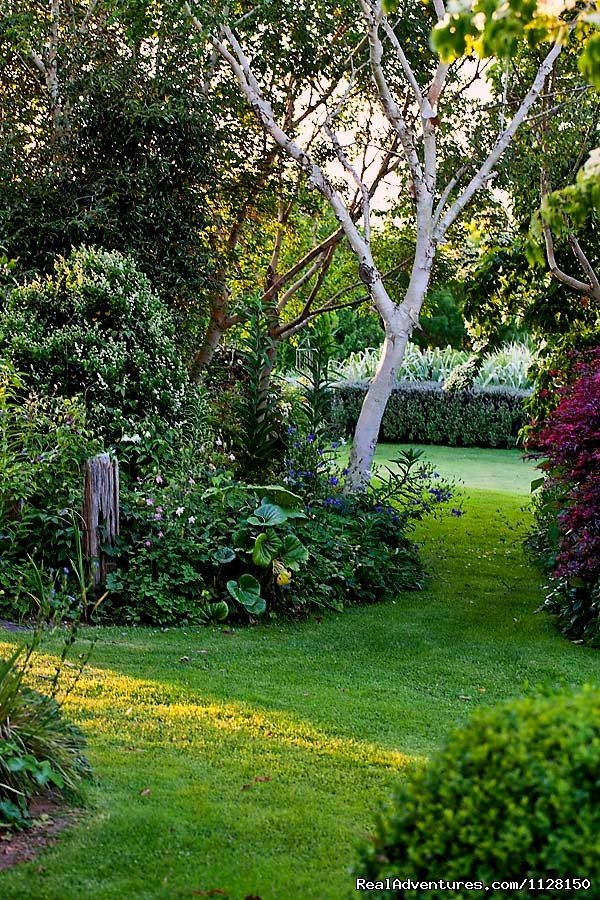 Take a walk through the garden at Kamahi | Romantic NZ country cottage: 5-Star B&B  Waitomo | Image #13/15 | 