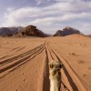 Jordan Select Tours - inbound tour operator