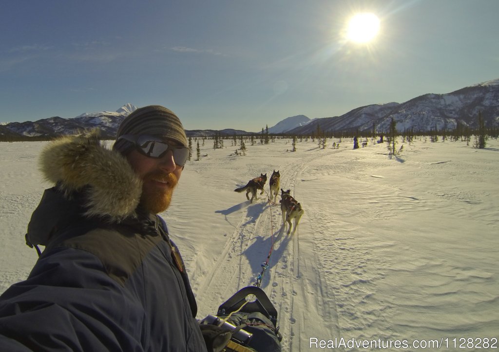 Dog sledding at Iniakuk Lake | Alaska Brooks Range Dog Sledding Tours | Image #5/14 | 