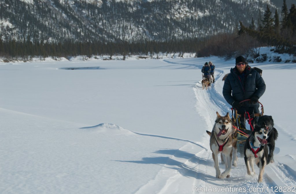 Dogsledding in Gates of the Arctic National Park | Alaska Brooks Range Dog Sledding Tours | Image #10/14 | 