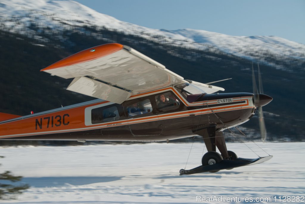Ski plane transport | Alaska Brooks Range Dog Sledding Tours | Image #4/14 | 