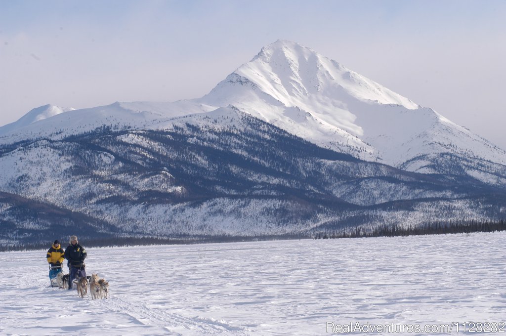 Dogsledding in the Brooks Range | Alaska Brooks Range Dog Sledding Tours | Image #12/14 | 