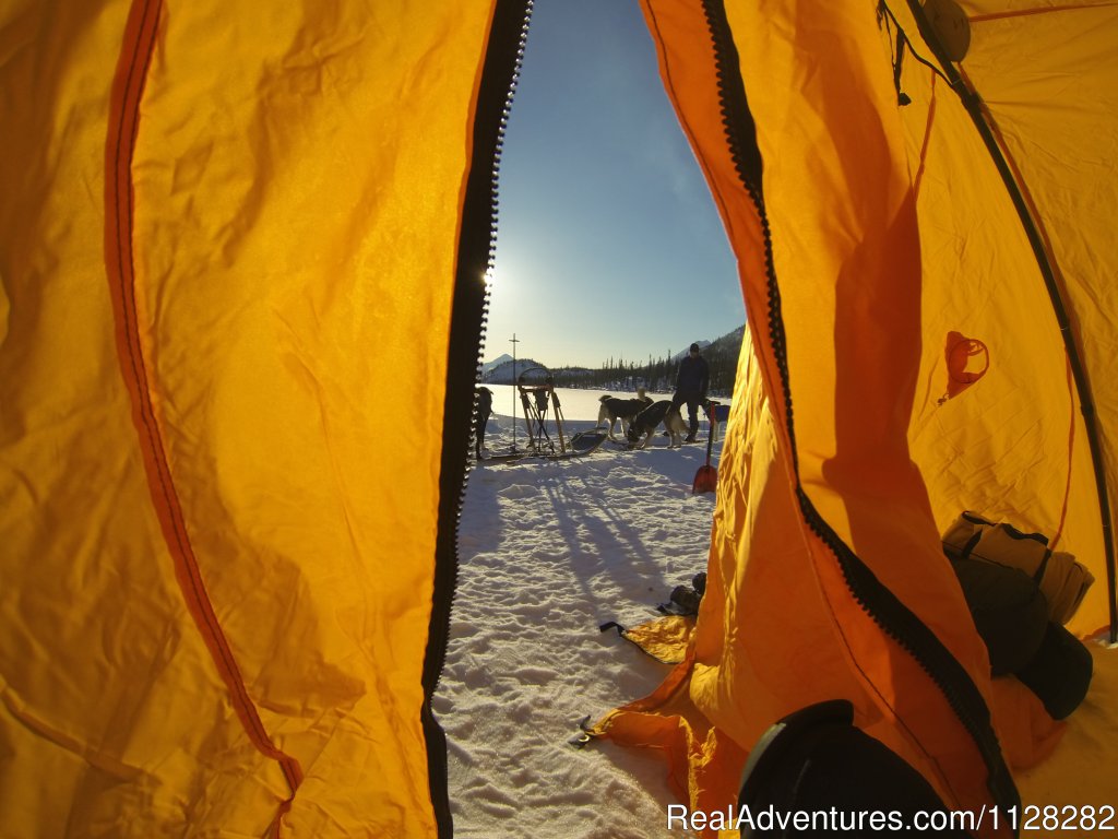 View from the Vestibule | Alaska Brooks Range Dog Sledding Tours | Image #13/14 | 