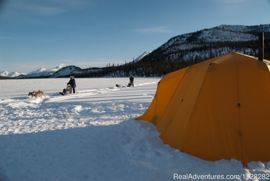 Expedition trips | Alaska Brooks Range Dog Sledding Tours | Image #14/14 | 