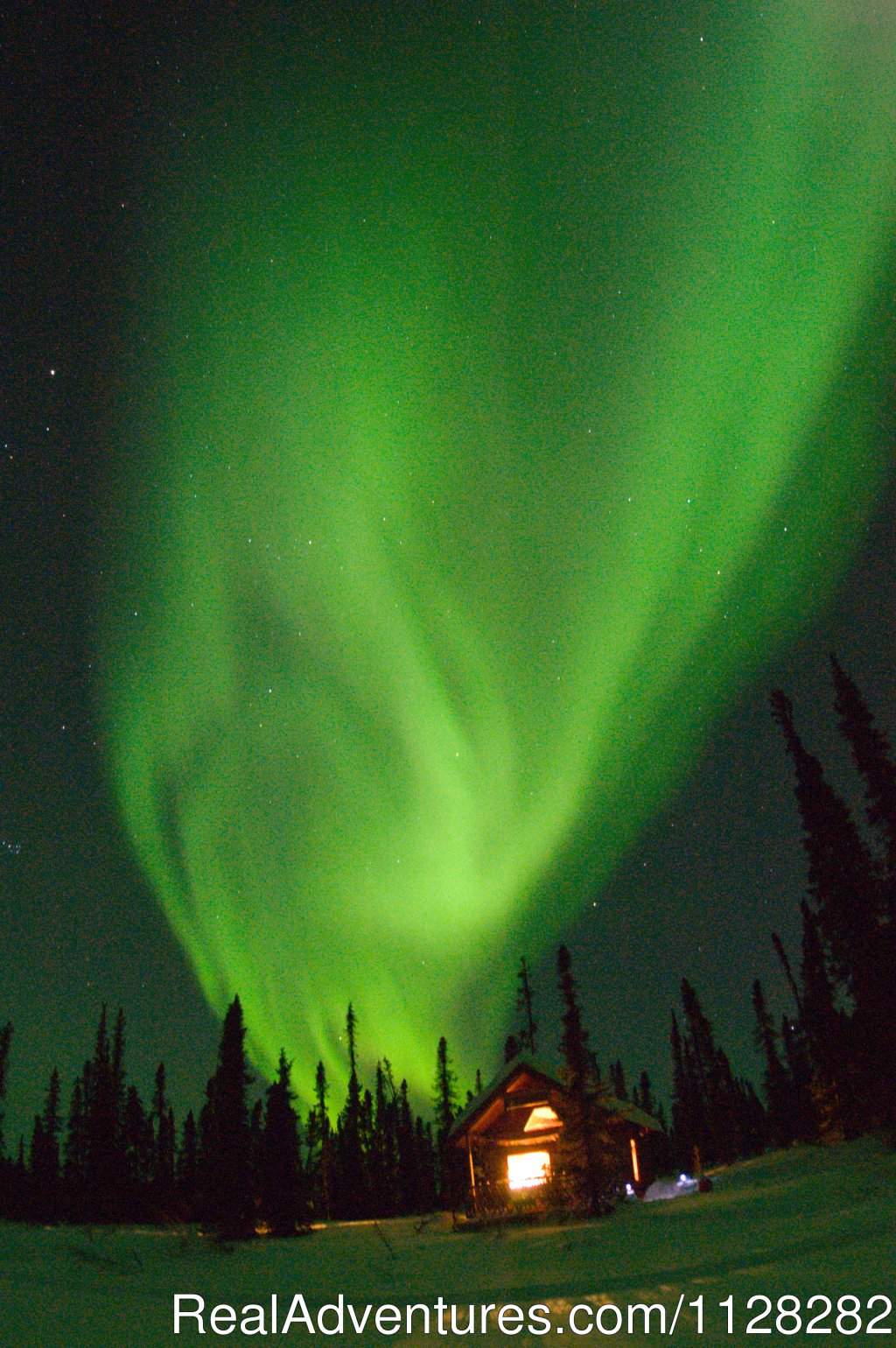 The Aurora Borealis | Alaska Brooks Range Dog Sledding Tours | Image #2/14 | 