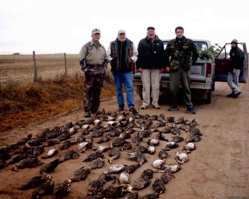 Ducks | Argentina Hunts | Image #2/7 | 