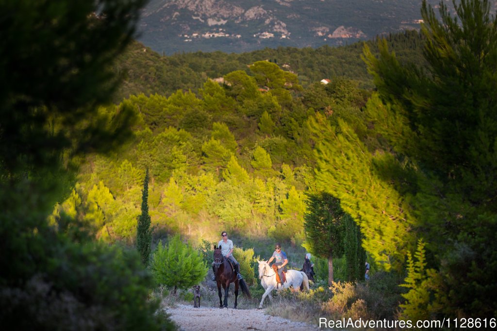 Horseback Riding & ATV Safari in Dubrovnik,Croatia | Image #5/9 | 