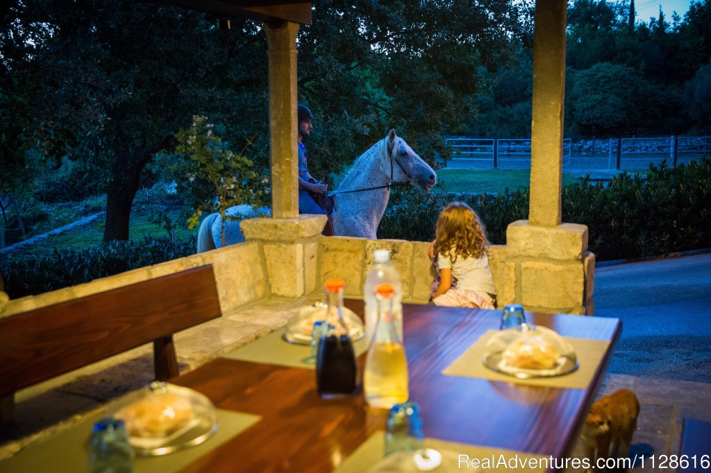 Horseback Riding & ATV Safari in Dubrovnik,Croatia | Image #8/9 | 