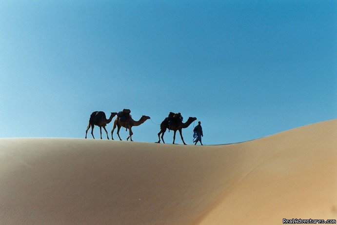 Discover charming desert in Mauritania | Desert 4x4 tours in Mauritania | Nouakchott, Mauritania | Wildlife & Safari Tours | Image #1/7 | 