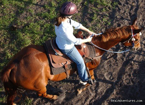 Deep Creek Stables An incredible riding experience | Image #3/8 | 