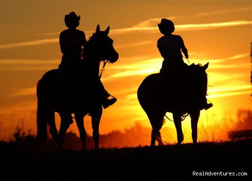 Deep Creek Stables An incredible riding experience | Pierson, Florida  | Horseback Riding & Dude Ranches | Image #1/8 | 