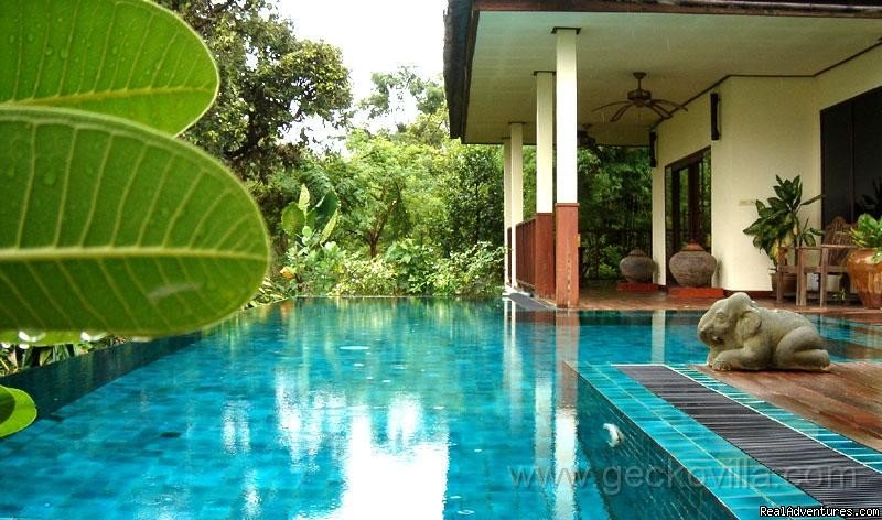 Your private pool | GECKO VILLA - unique experiences of NE Thailand | Udonthani, Thailand | Vacation Rentals | Image #1/8 | 