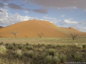 Namibian Camping Tours and Coastal Day Tours | Namibia, Namibia | Sight-Seeing Tours