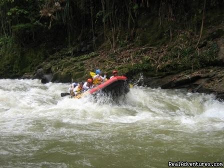 Adventure, Nature and Leisure Sumatera Trip | Image #4/16 | 