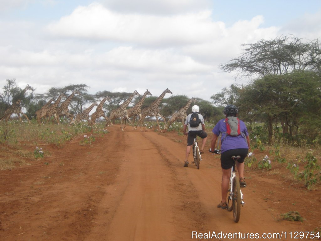 Traffic jam | Kenya And Tanzania Adventurous African Cycle Tour | Image #6/11 | 