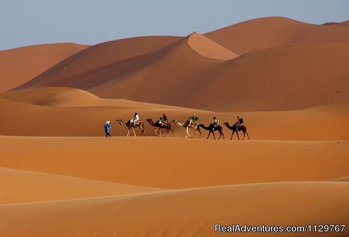 camel riding in the sahara desert Morocco | Tours, Holiday & Vacation packages in Morocco | Image #12/20 | 