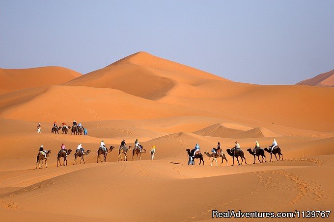 camel riding in the sahara desert Morocco | Tours, Holiday & Vacation packages in Morocco | Image #13/20 | 