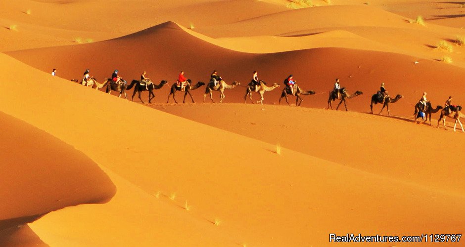 camel riding in the sahara desert Morocco | Tours, Holiday & Vacation packages in Morocco | Image #15/20 | 