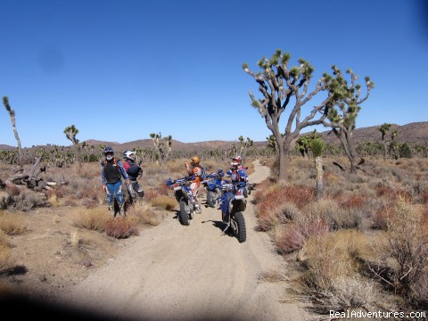 Yucca Valley - MotoVentures Dirt Bike Tours, Training and Trials - inland empire california motorcycle anza, ca