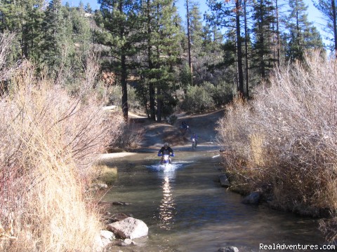 Big Bear - MotoVentures Dirt Bike Tours, Training and Trials - inland empire california motorcycle anza, ca