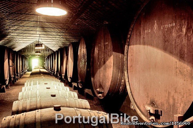 Portugal Bike - Towards the Algarve (Road Bike) | Image #14/26 | 