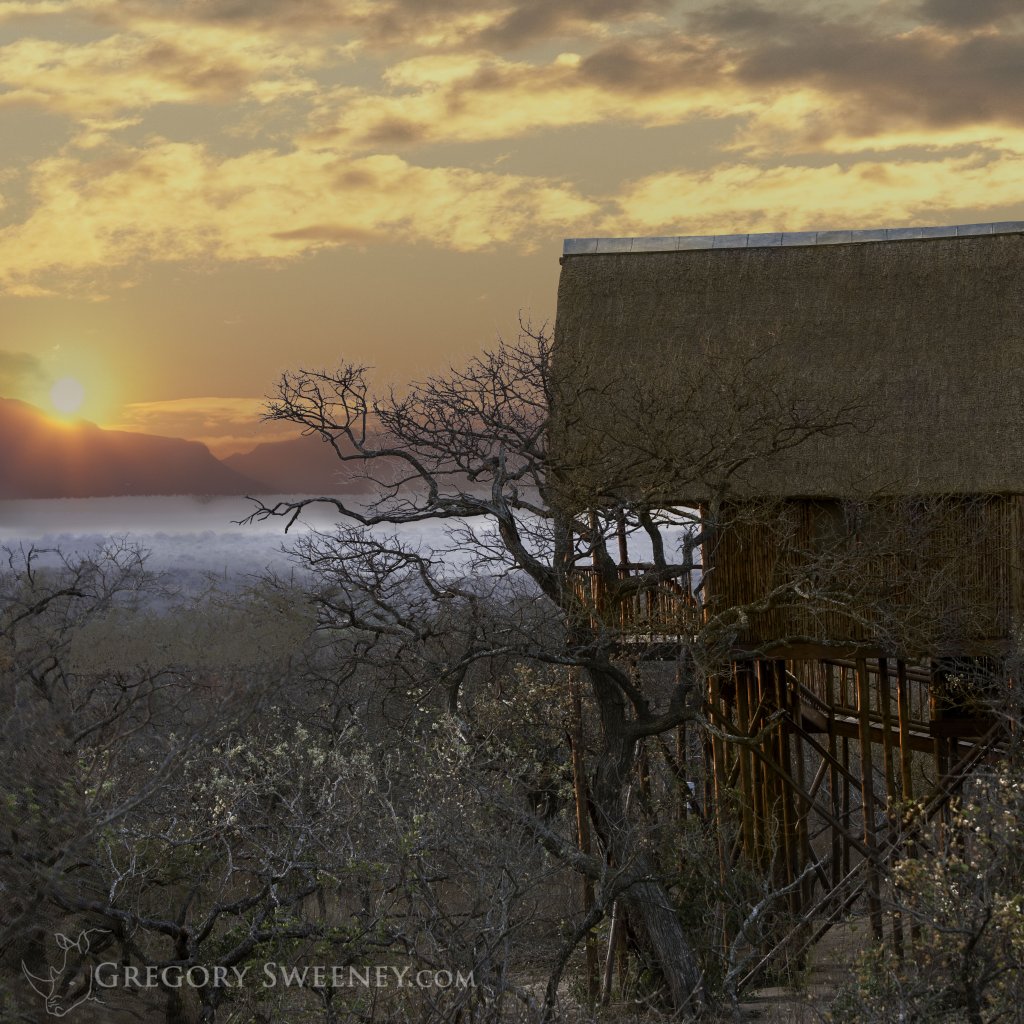 Stay At Your Host's Own Tree House Lodge | Unique Small Group Photo Safari in South Africa | Image #11/12 | 