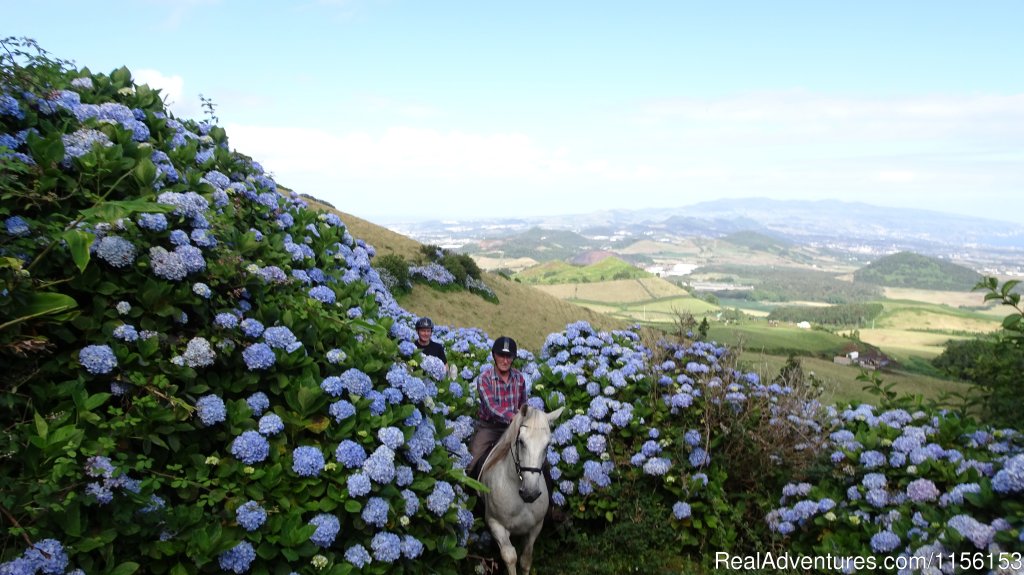 Riding a flower trail. | Unforgettable riding weeks at Quinta da Terca | Image #4/17 | 