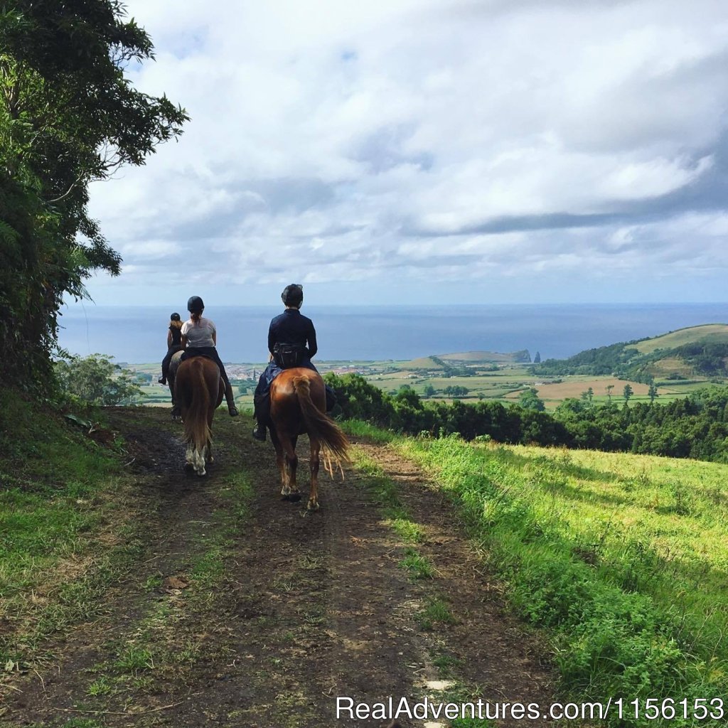 Unforgettable riding weeks at Quinta da Terca | Image #5/17 | 