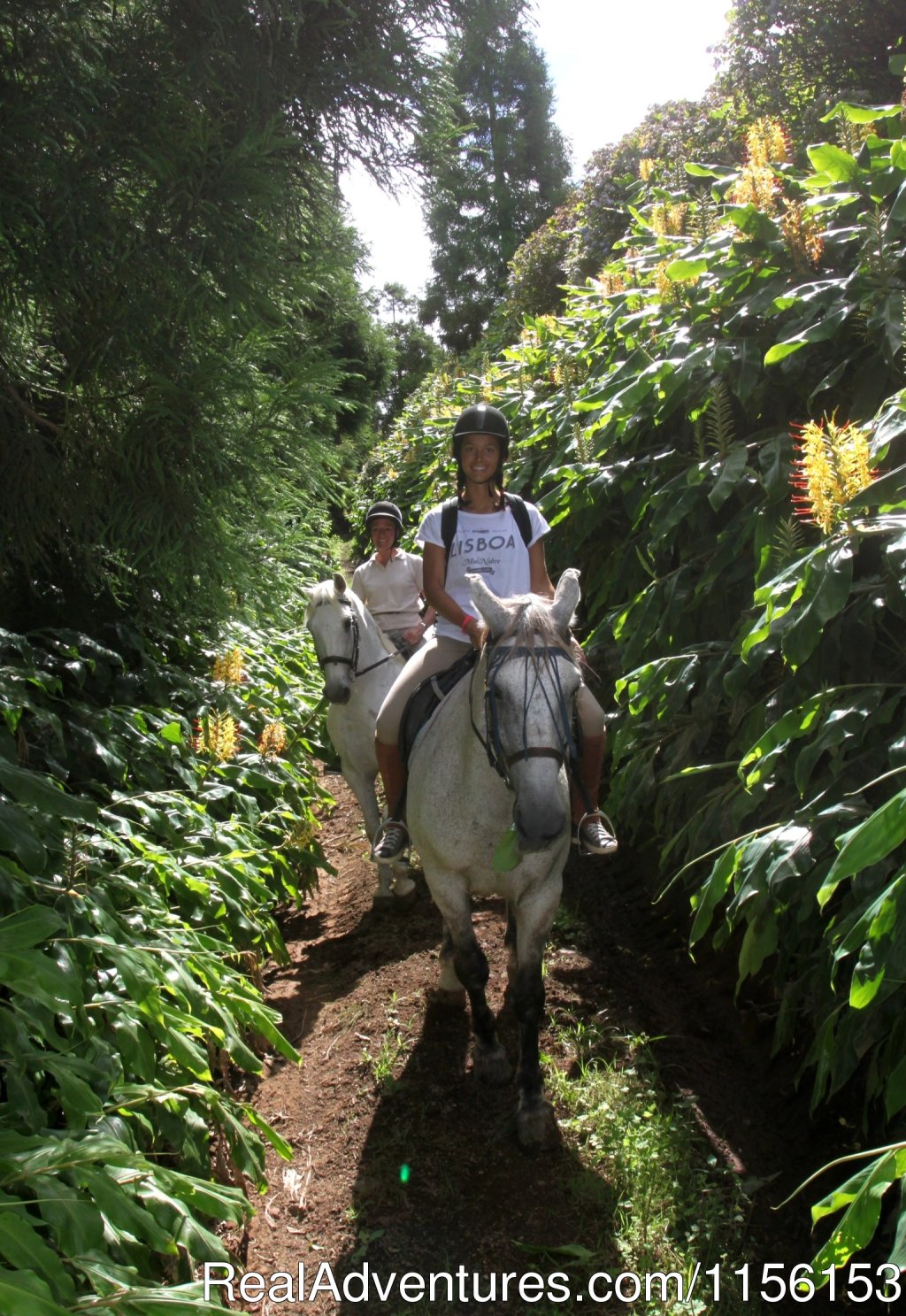 Cabuco trail | Unforgettable riding weeks at Quinta da Terca | Image #7/17 | 
