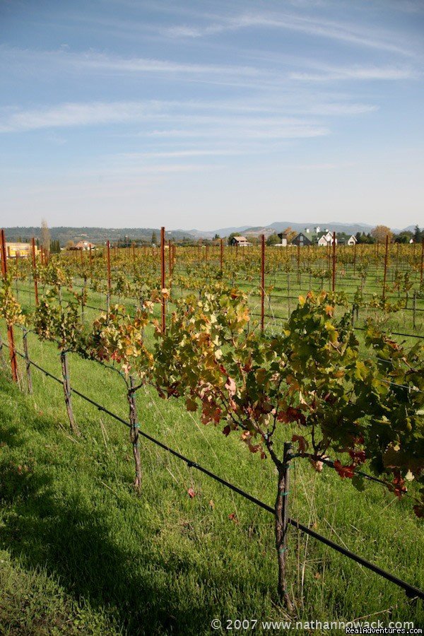 2 Days in the Napa Valley Wine Country | Image #2/14 | 
