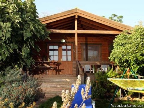 golan romantic hut's: Photo #2