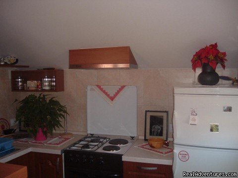 Kitchen | Apartment DARIJA | Image #10/20 | 