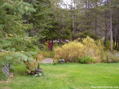 LUXURY S. LK. TAHOE VACATION RENTAL & BOAT CHARTER: LANSCAPED LARGE BACK YARD WITH TRAILS