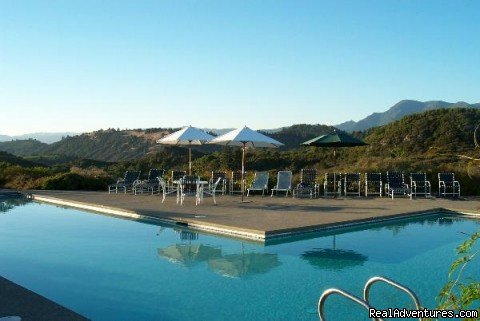 Spectacular Pool | Wine Country Yoga Retreat in Calistoga | Larkspur, California  | Health Spas & Retreats | Image #1/1 | 