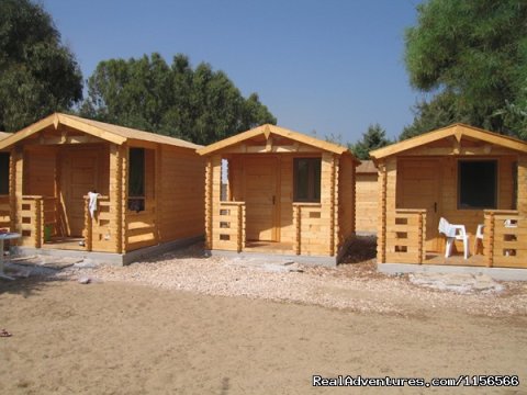 Wooden Huts