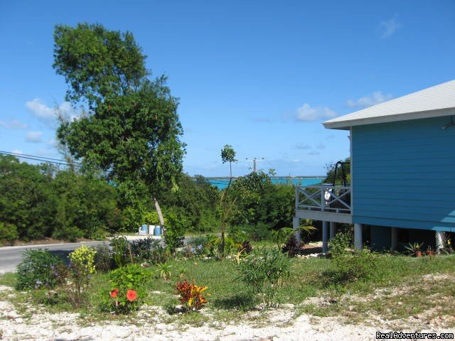 Cottage Landscaping | Exuma Blue-Ocean View  from Jaccuzi Tub in Bedroom | Image #3/20 | 
