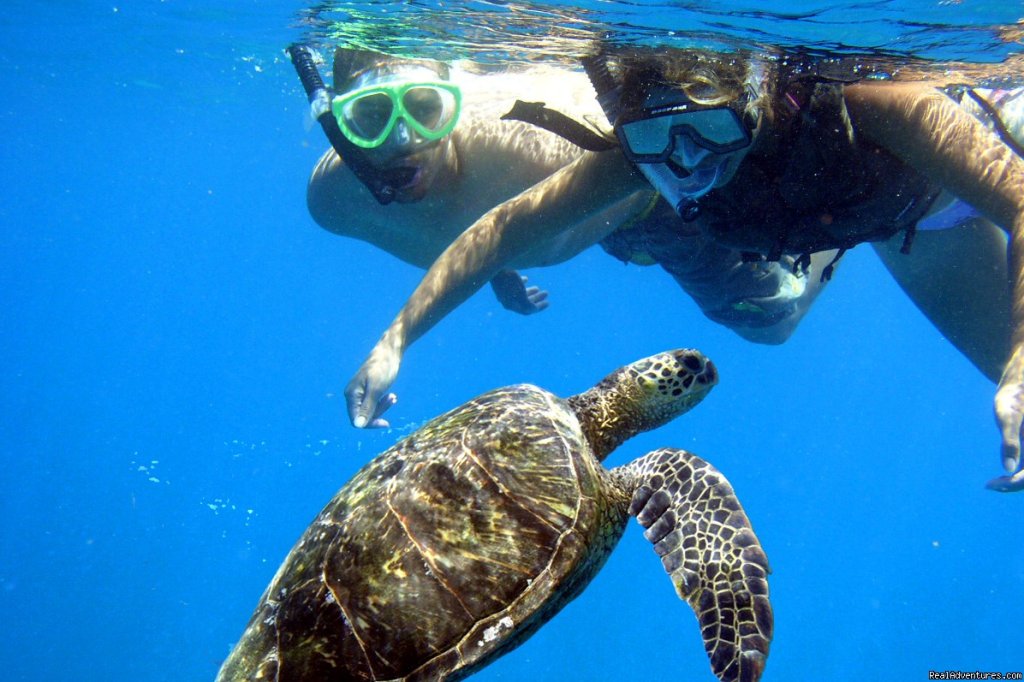 Maui's Best Kayak & Snorkel Tours | Makena, Hawaii  | Kayaking & Canoeing | Image #1/5 | 