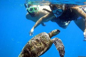 Maui's Best Kayak & Snorkel Tours | Makena, Hawaii | Kayaking & Canoeing