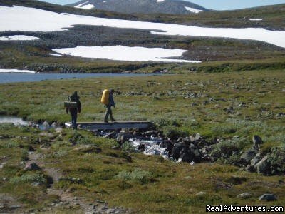 Trekking at the Fulu mountain | Hunting and Fishing in Sweden | Image #5/13 | 