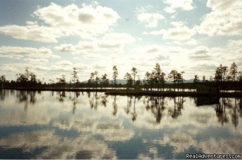Amazing scenery | Hunting and Fishing in Sweden | Image #13/13 | 