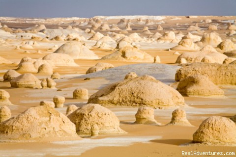 Adventure Safari (Western Desert): Photo #3