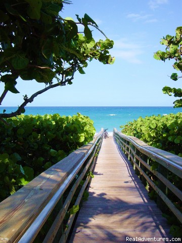 POSHPADZ is 5 Star Luxury For Less!: Pathway to Our Local Beach