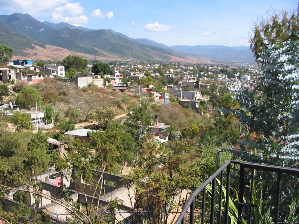View from kitchen, patio and bedsittingroom | Casa Machaya Oaxaca Bed & Breakfast | Image #5/7 | 